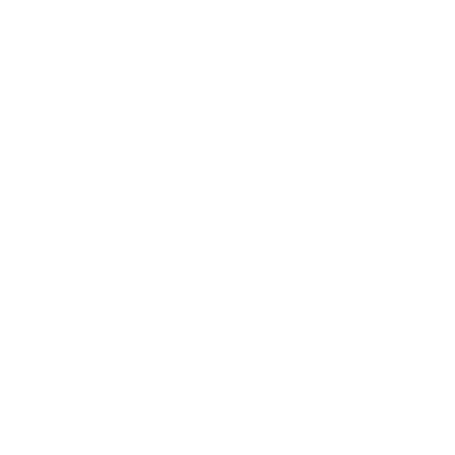 BBP SAR logo White